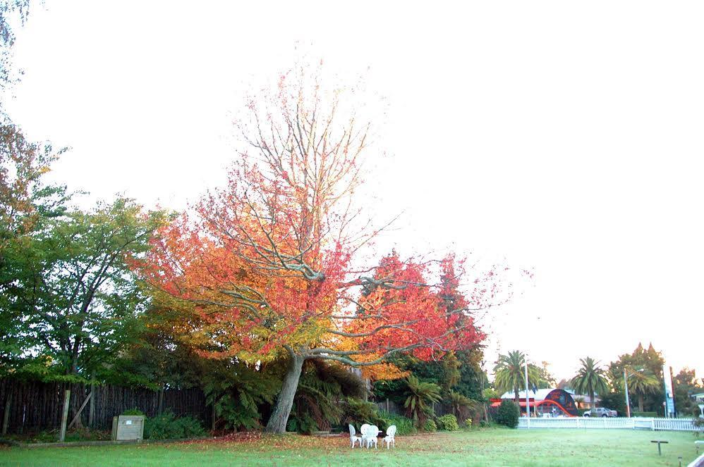 Fairy Springs Motel Rotorua Luaran gambar